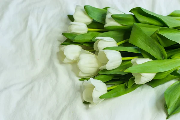 Ein Strauß weißer Tulpen auf weißem Hintergrund. ein Strauß Frühlingsblumen auf dem Beet. Urlaub. warmes Frühjahr. — Stockfoto