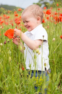 Sevimli küçük çocuk rahatlatıcı haşhaş alanındaki.
