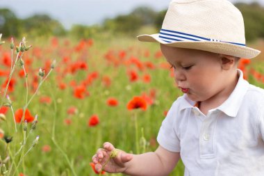 Sevimli küçük çocuk rahatlatıcı haşhaş alanındaki.