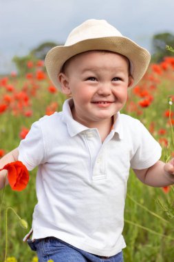 Sevimli küçük çocuk rahatlatıcı haşhaş alanındaki.