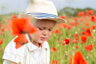 Sevimli küçük çocuk rahatlatıcı haşhaş alanındaki.