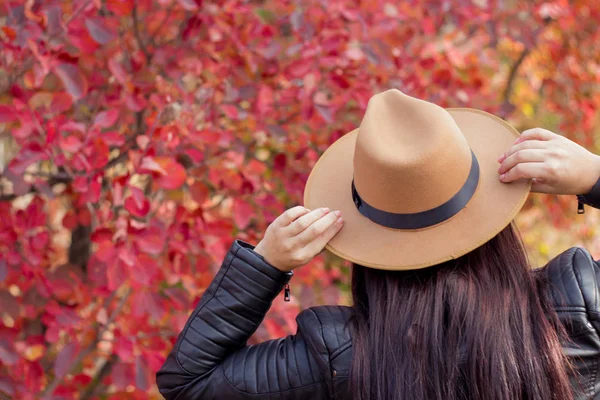 Joven mujer hermosa en un sombrero y chaqueta en el parque de otoño. Otoño cálido. Retrato de otoño de una chica feliz. Feliz caminata de mujer joven — Foto de Stock