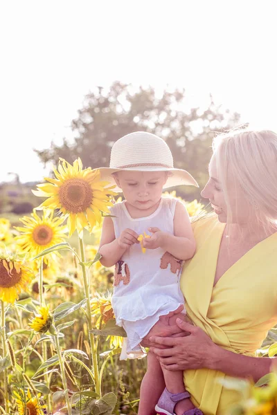 Family is walking along the summer flowering field. Happy mother and daughter in the sun. Summer. Sunflowers. — Stock Photo, Image