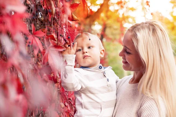 美しい若いお母さんと若い息子が歩きます。ママと若い息子秋公園の中を歩きます。赤い紅葉。暖かい秋. — ストック写真