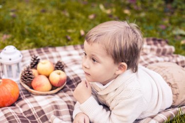 Sevimli küçük bir çocuk 3 yıl sonbahar parkta yürüyor. Sıcak sonbahar. Kırmızı yaprakları. Bir çocuk olarak bir örgü jumper. Littel çocuk.