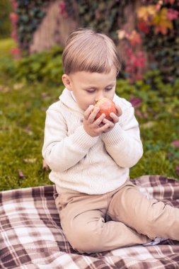Sevimli küçük bir çocuk 3 yıl sonbahar parkta yürüyor. Sıcak sonbahar. Kırmızı yaprakları. Bir çocuk olarak bir örgü jumper. Littel çocuk.