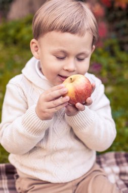 Sevimli küçük bir çocuk 3 yıl sonbahar parkta yürüyor. Sıcak sonbahar. Kırmızı yaprakları. Bir çocuk olarak bir örgü jumper. Littel çocuk.