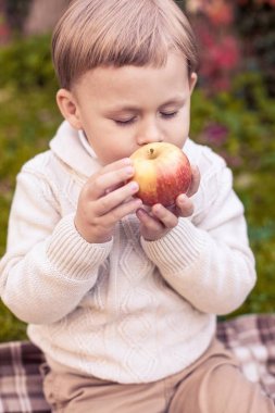 Sevimli küçük bir çocuk 3 yıl sonbahar parkta yürüyor. Sıcak sonbahar. Kırmızı yaprakları. Bir çocuk olarak bir örgü jumper. Littel çocuk.