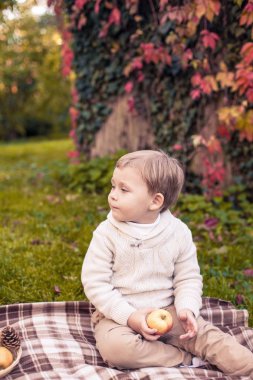 Sevimli küçük bir çocuk 3 yıl sonbahar parkta yürüyor. Sıcak sonbahar. Kırmızı yaprakları. Bir çocuk olarak bir örgü jumper. Littel çocuk.