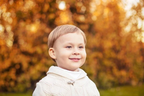 Milý chlapeček 3 roky chodí v podzimním parku. Teplý podzim. Červené listy. Chlapec v pletený svetr. Littel boy. — Stock fotografie