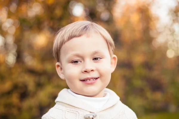 Um menino bonito de 3 anos caminha no parque de outono. Outono quente. Folhas vermelhas. Um menino em um jumper.Littel de malha . — Fotografia de Stock