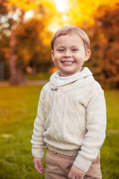 3 年的一个可爱的小男孩走在秋天的公园。温暖的秋天。红色的叶子。一个男孩在针织套头毛衣。小齐的男孩. — 图库照片