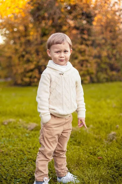 En söt liten pojke på 3 år promenader i parken hösten. Varm höst. Röda blad. En pojke i en stickad tröja. Littel pojke. — Stockfoto