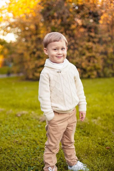 Milý chlapeček 3 roky chodí v podzimním parku. Teplý podzim. Červené listy. Chlapec v pletený svetr. Littel boy. — Stock fotografie