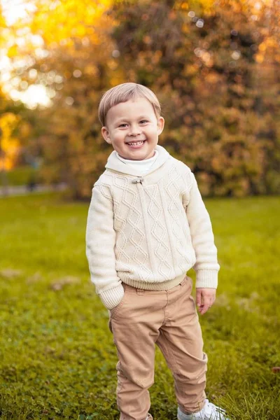 Egy aranyos kisfiú 3 év őszi parkban sétál. Meleg ősz. Piros levelek. A fiú egy kötött pulóver. Littel fiú. — Stock Fotó