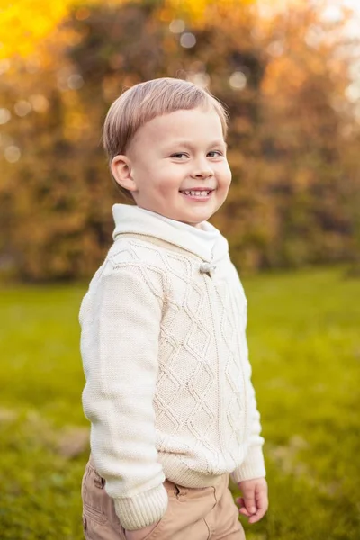 Um menino bonito de 3 anos caminha no parque de outono. Outono quente. Folhas vermelhas. Um menino em um jumper.Littel de malha . — Fotografia de Stock