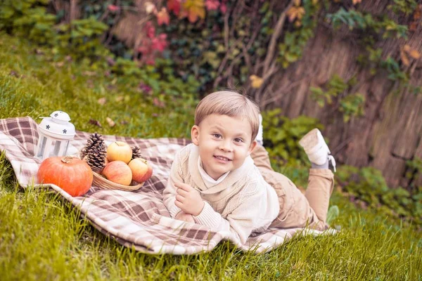 Milý chlapeček 3 roky chodí v podzimním parku. Teplý podzim. Červené listy. Chlapec v pletený svetr. Littel boy. — Stock fotografie