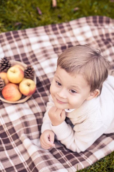 Milý chlapeček 3 roky chodí v podzimním parku. Teplý podzim. Červené listy. Chlapec v pletený svetr. Littel boy. — Stock fotografie