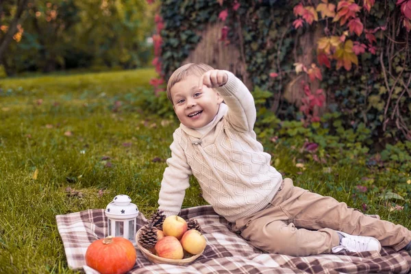 Milý chlapeček 3 roky chodí v podzimním parku. Teplý podzim. Červené listy. Chlapec v pletený svetr. Littel boy. — Stock fotografie