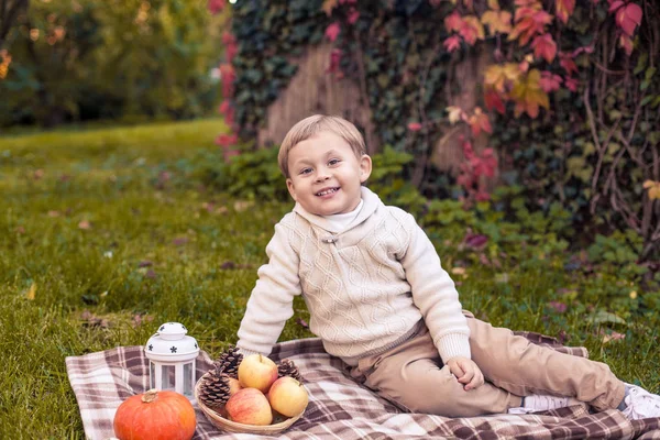 Milý chlapeček 3 roky chodí v podzimním parku. Teplý podzim. Červené listy. Chlapec v pletený svetr. Littel boy. — Stock fotografie