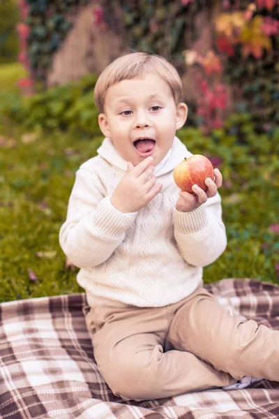 Milý chlapeček 3 roky chodí v podzimním parku. Teplý podzim. Červené listy. Chlapec v pletený svetr. Littel boy. — Stock fotografie