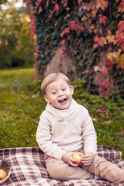 En söt liten pojke på 3 år promenader i parken hösten. Varm höst. Röda blad. En pojke i en stickad tröja. Littel pojke. — Stockfoto