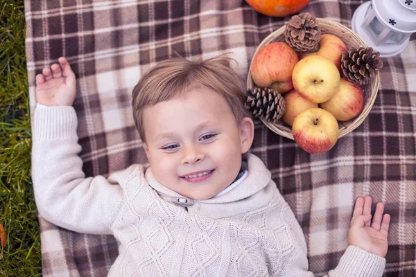 Milý chlapeček 3 roky chodí v podzimním parku. Teplý podzim. Červené listy. Chlapec v pletený svetr. Littel boy. — Stock fotografie