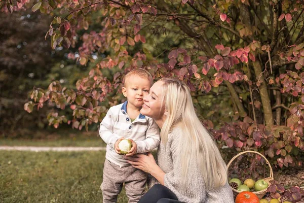 Bela mãe jovem e jovem filho andar. Mãe e filho caminham no outono Park. Outono quente. Piquenique . — Fotografia de Stock