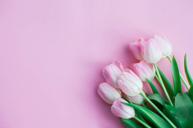 Lale pembe bir arka plan üzerinde bir buket. Hediye. Bir hediye ile bir kutu. Dünya Kadınlar Günü. Tatil. Bahar.