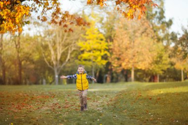 Küçük sevimli çocuk sonbahar bahçesinde 5 yaşında yürüyüş yapıyor. Parlak, sonbahar giysileri içinde mutlu bir çocuğun portresi. Sıcak ve parlak bir sonbahar..