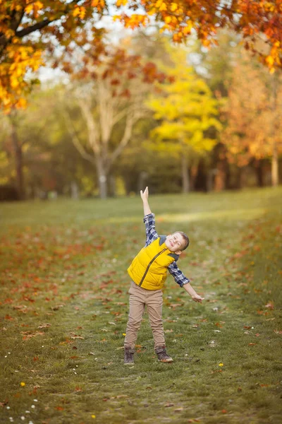 可爱的小男孩5岁在秋天的花园里散步。 一个穿着鲜艳秋衣的快乐男孩的画像。温暖而明亮的秋天. — 图库照片