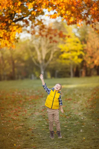 Liten söt pojke 5 år gammal promenader i höstträdgården. Porträtt av en lycklig pojke i ljusa höstkläder.Varm och ljus höst. — Stockfoto