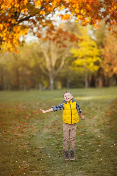 可爱的小男孩5岁在秋天的花园里散步。 一个穿着鲜艳秋衣的快乐男孩的画像。温暖而明亮的秋天. — 图库照片