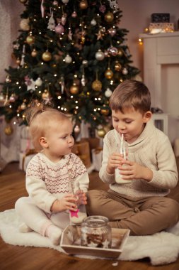 Küçük tatlı mutlu çocuk ve kız Noel ağacının yanında oturur ve Noel kurabiyeleriyle süt içerler. Noel zamanı. Yeni Yıl.