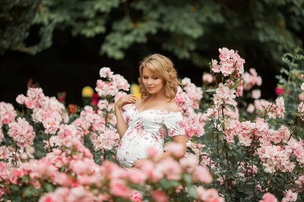 美しい若い妊婦がバラ園を歩いている。ドレスを着た妊婦の肖像画。夏. — ストック写真