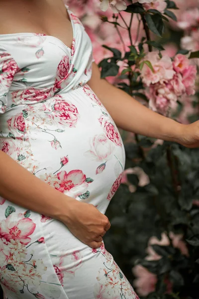 Närbild. En vacker ung gravid kvinna går i en rosenträdgård. Porträtt av en gravid kvinna i klänning. Sommar. — Stockfoto