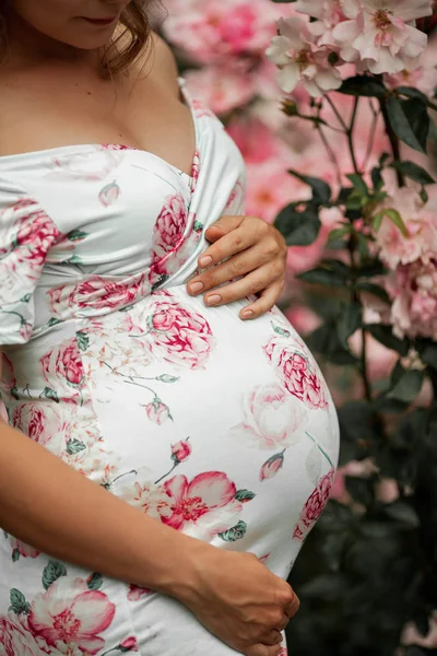 Närbild. En vacker ung gravid kvinna går i en rosenträdgård. Porträtt av en gravid kvinna i klänning. Sommar. — Stockfoto