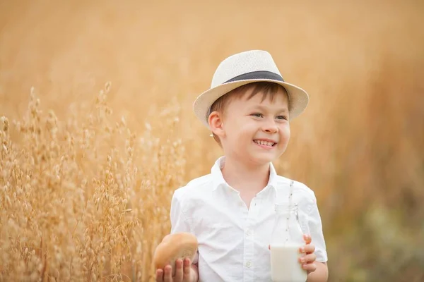 Porträtt av en 5-årig pojke med mjölk och en rulle på ett vetefält. Glad söt pojke äter bröd. Bageriprodukter. — Stockfoto