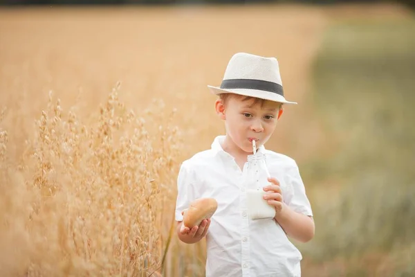 Porträtt av en 5-årig pojke med mjölk och en rulle på ett vetefält. Glad söt pojke äter bröd. Bageriprodukter. — Stockfoto