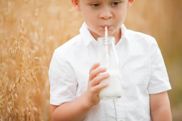 接近中だ小麦畑の少年の肖像画。少年はガラス瓶から牛乳を飲む. — ストック写真