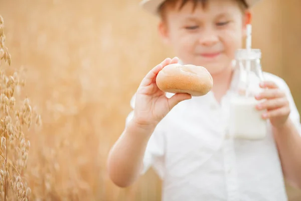接近中だ牛乳と小麦畑でロールを持つ5歳の少年の肖像画。幸せなかわいい男の子パンを食べている。ベーカリー製品. — ストック写真