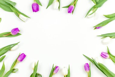 Bouquet of tulips on a white background. White and lilac tulips.