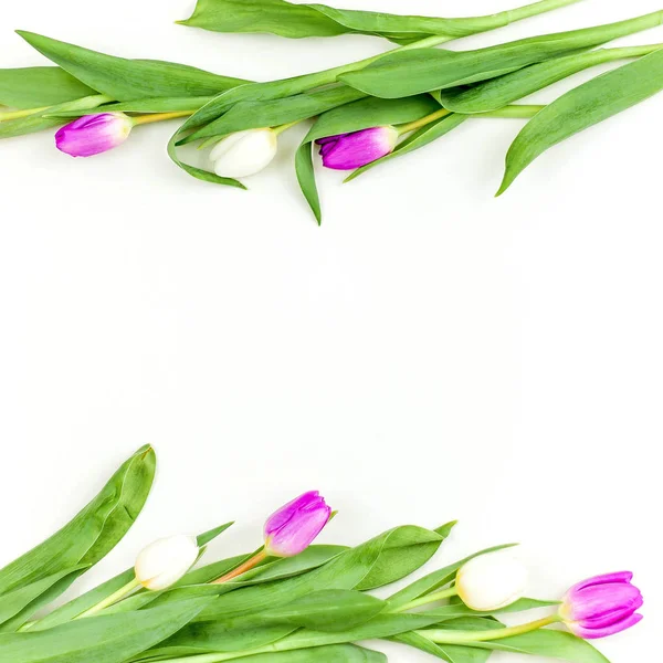 Tulpenstrauß auf weißem Hintergrund. weiße und fliederfarbene Tulpen. — Stockfoto