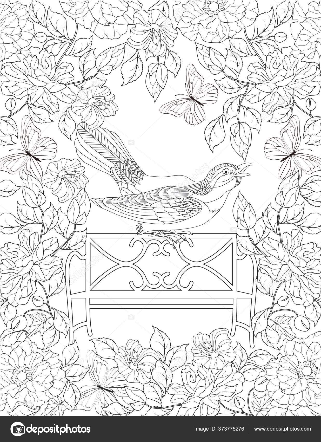 Download Digital Coloring Book Adults Coloring Book Cute Animals Birds Flowers Stock Photo Image By C Adelinrafael Gmail Com 373775276