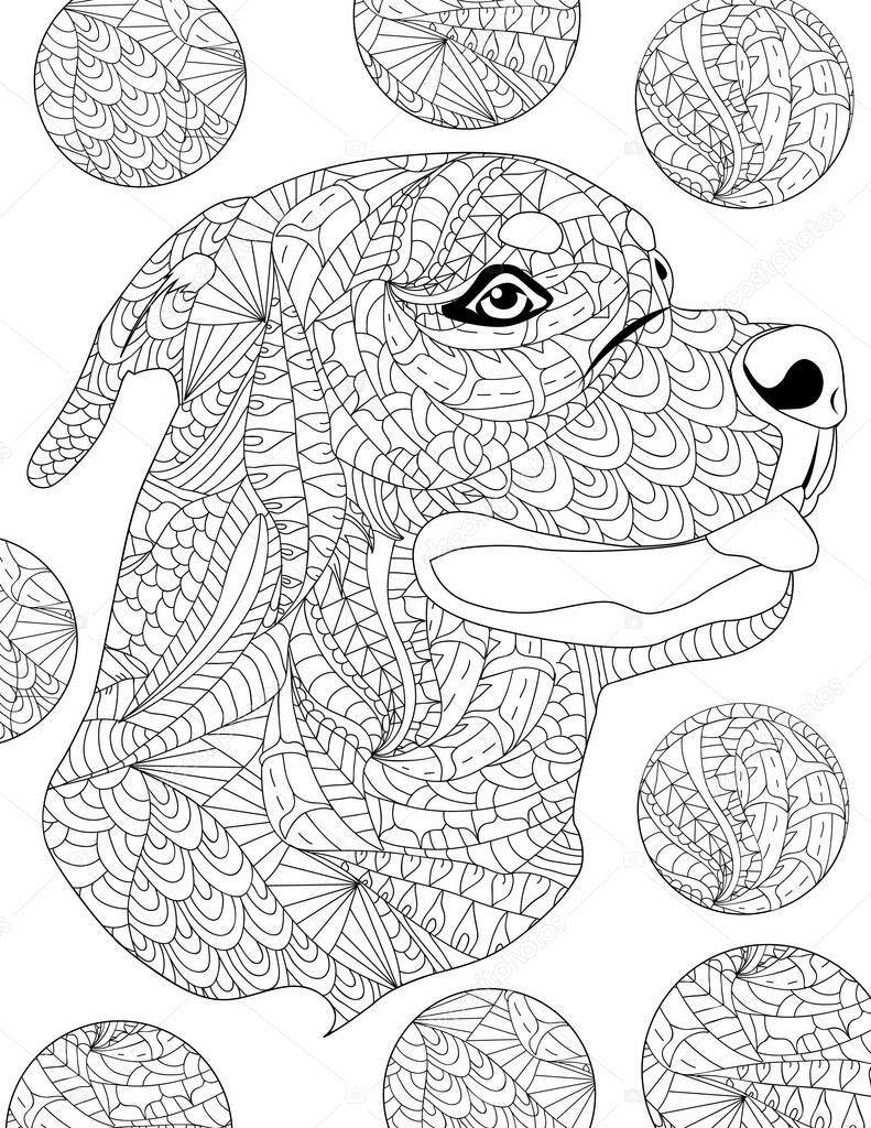 picture Digital Coloring Books For Adults digital coloring book for adults