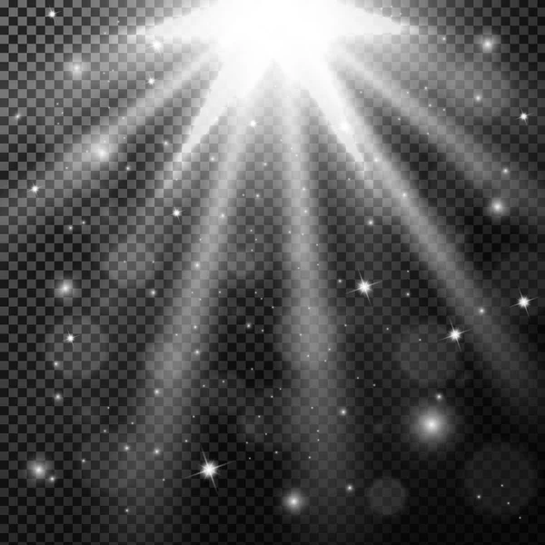 Lumières brillantes sur fond transparent — Image vectorielle