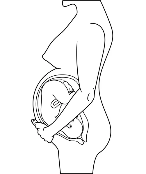 Φυσιολογική έγκυο γυναίκα που είναι έτοιμη να γεννήσει — Διανυσματικό Αρχείο