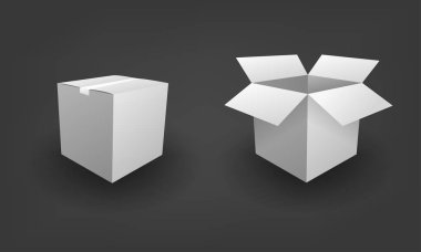 Boş açık ve kapalı beyaz kutu paket iş kavramı