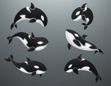 Orca logo illüstrasyon ayarla