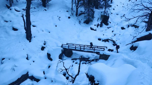 Karla kaplı ormanda bir yürüyüş.